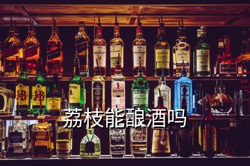 荔枝能釀酒嗎