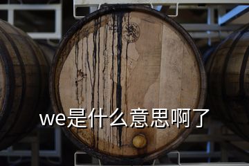 we是什么意思啊了