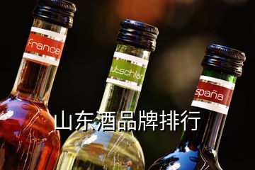 山東酒品牌排行