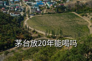 茅臺(tái)放20年能喝嗎