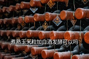 煮熟玉米粒加白酒發(fā)酵可以嗎