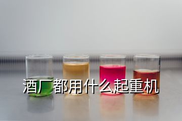 酒廠都用什么起重機