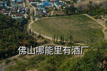 佛山哪能里有酒廠