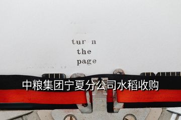 中糧集團(tuán)寧夏分公司水稻收購