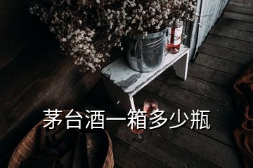 茅臺酒一箱多少瓶