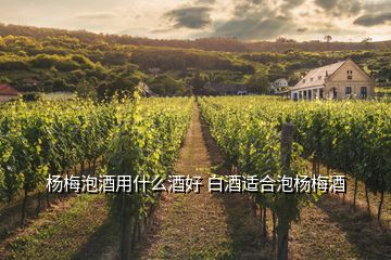 楊梅泡酒用什么酒好 白酒適合泡楊梅酒