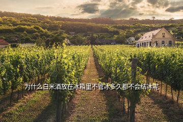 為什么白米酒放在冰箱里不管冰多久都不會結(jié)冰呢