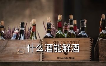 什么酒能解酒