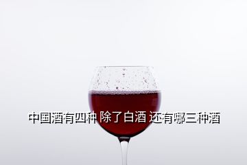 中國酒有四種 除了白酒 還有哪三種酒