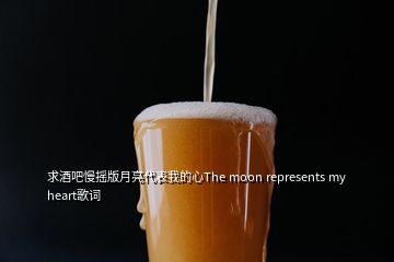 求酒吧慢搖版月亮代表我的心The moon represents my heart歌詞