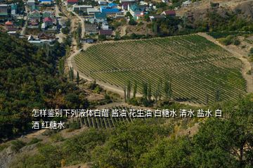 怎樣鑒別下列液體白醋 醬油 花生油 白糖水 清水 鹽水 白酒 紅糖水