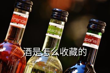 酒是怎么收藏的