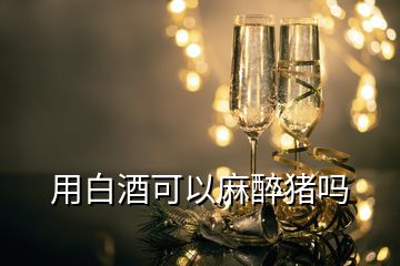 用白酒可以麻醉豬嗎