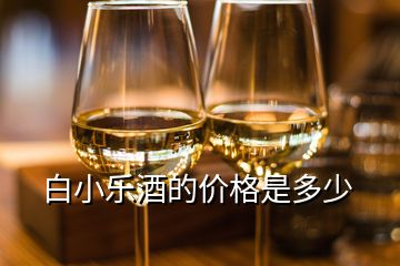 白小樂(lè)酒的價(jià)格是多少