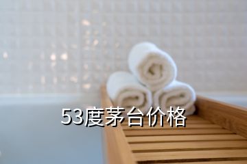 53度茅臺價格