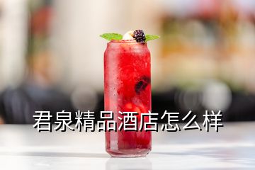 君泉精品酒店怎么樣