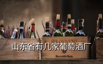 山東省有幾家葡萄酒廠