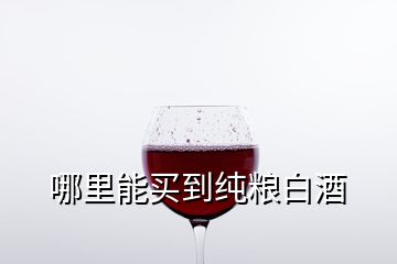 哪里能買到純糧白酒