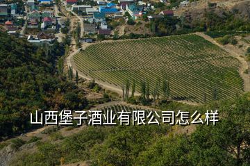 山西堡子酒業(yè)有限公司怎么樣