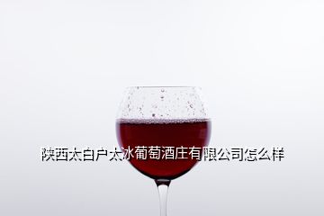 陜西太白戶太冰葡萄酒莊有限公司怎么樣