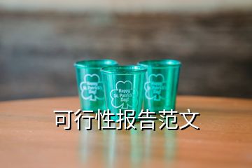 可行性報(bào)告范文