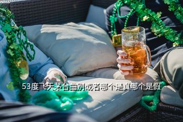 53度飛天茅臺曲別或者哪個(gè)是真哪個(gè)是假