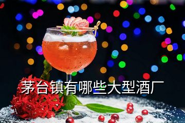 茅臺(tái)鎮(zhèn)有哪些大型酒廠