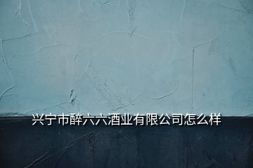 興寧市醉六六酒業(yè)有限公司怎么樣