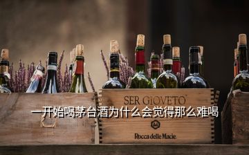 一開(kāi)始喝茅臺(tái)酒為什么會(huì)覺(jué)得那么難喝