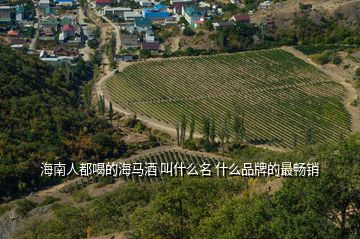 海南人都喝的海馬酒 叫什么名 什么品牌的最暢銷