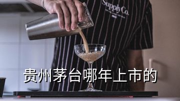 貴州茅臺哪年上市的