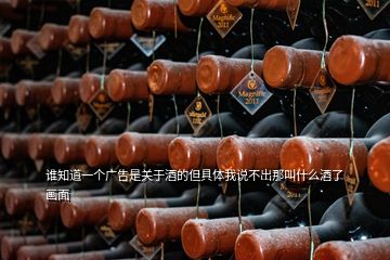 誰知道一個廣告是關(guān)于酒的但具體我說不出那叫什么酒了畫面