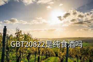 GBT20822是純食酒嗎