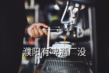 濮陽有啤酒廠沒