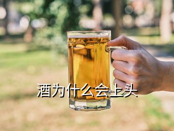 酒為什么會(huì)上頭