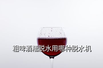 粗啤酒糟脫水用哪種脫水機(jī)