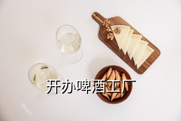 開辦啤酒工廠