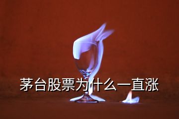 茅臺(tái)股票為什么一直漲