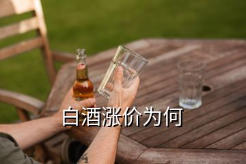 白酒漲價(jià)為何