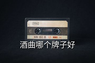 酒曲哪個牌子好