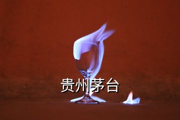 貴州茅臺(tái)