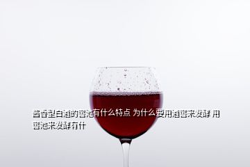 醬香型白酒的窖池有什么特點 為什么要用酒窖來發(fā)酵 用窖池來發(fā)酵有什