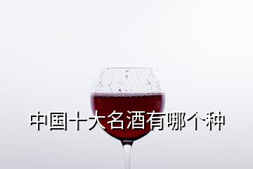 中國(guó)十大名酒有哪個(gè)種