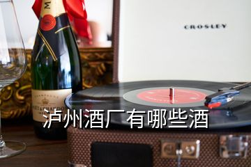 瀘州酒廠有哪些酒