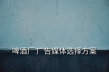 啤酒廠 廣告媒體選擇方案