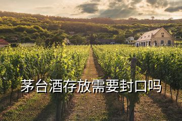 茅臺(tái)酒存放需要封口嗎