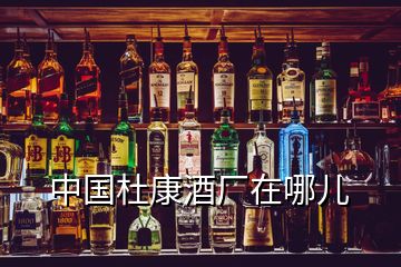 中國杜康酒廠在哪兒