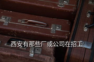 西安有那些廠或公司在招工