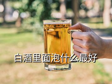 白酒里面泡什么最好