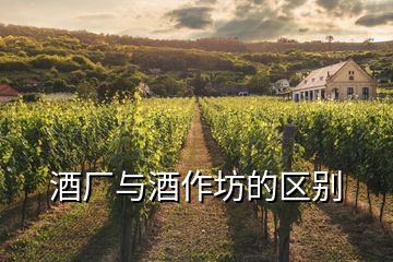 酒廠與酒作坊的區(qū)別